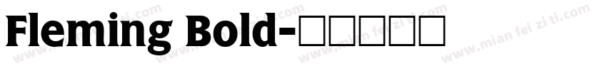 Fleming Bold字体转换